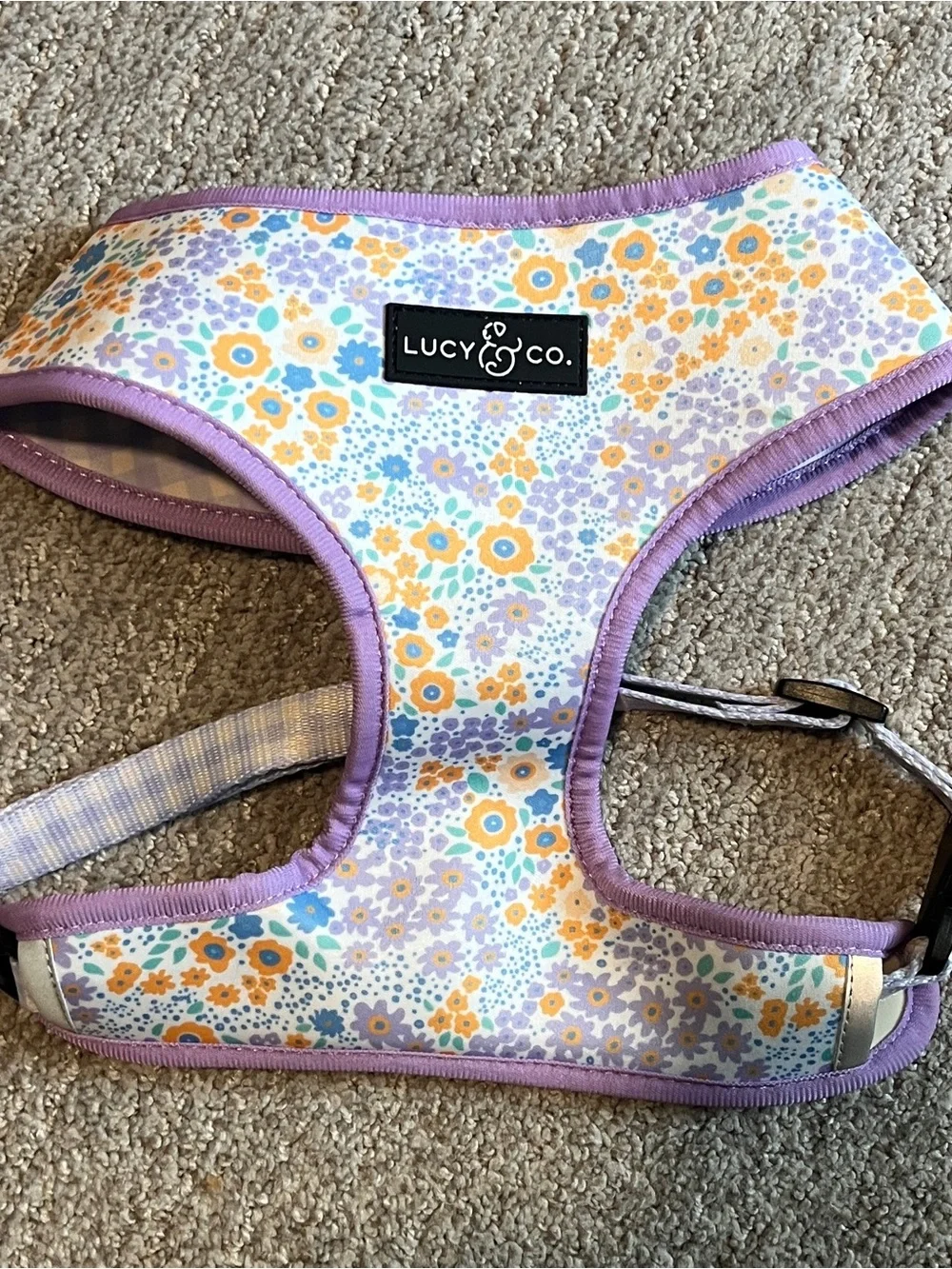 Lucy & Co. Reversible Dog Harness - Water-Repellent Neoprene XL. 2553/DB-1